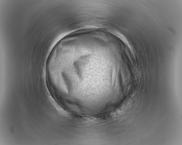 X0000111900811200908101139