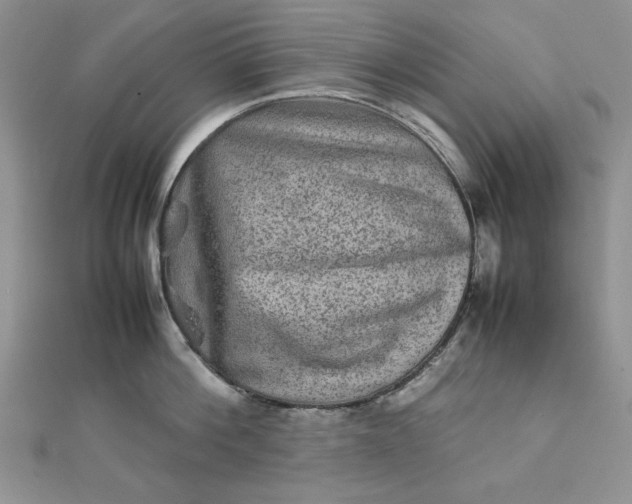 X0000111900812200908101139