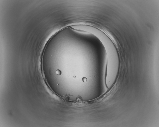 X0000111900813200908101139