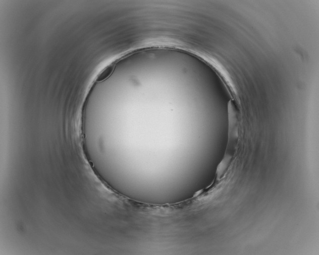 X0000111900815200908101139