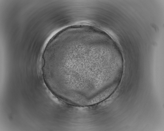 X0000111900816200908101139