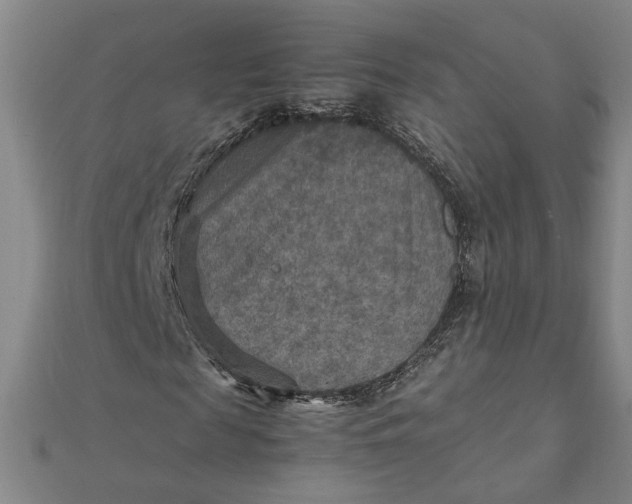 X0000111900817200908101138