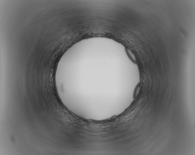 X0000111900818200908101138