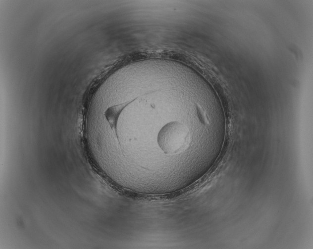 X0000111900820200908101138