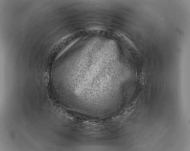 X0000111900821200908101138