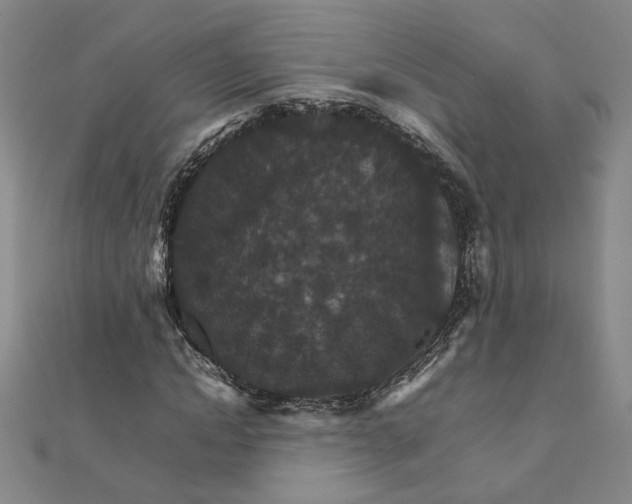 X0000111900822200908101138