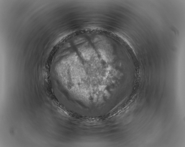 X0000111900823200908101138