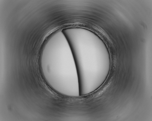 X0000111900826200908101138