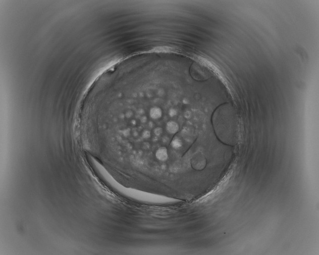 X0000111900827200908101138