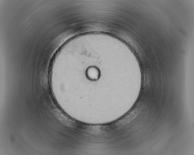 X0000111900828200908101138