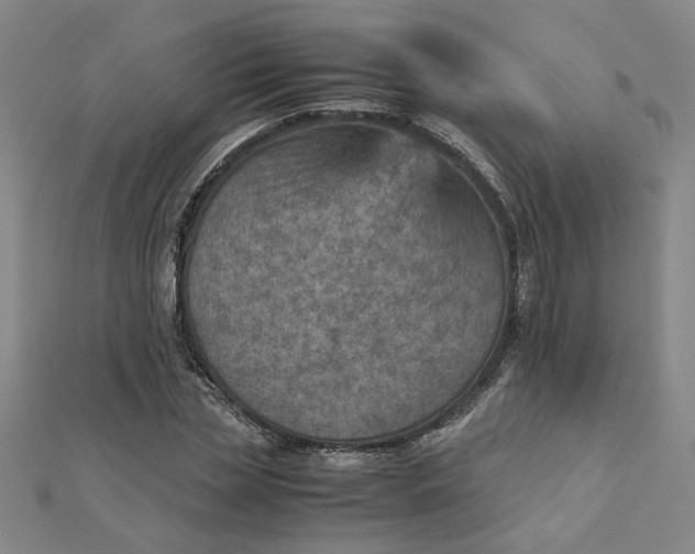 X0000111900829200908101138