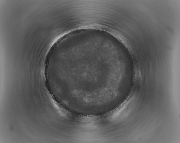 X0000111900830200908101138