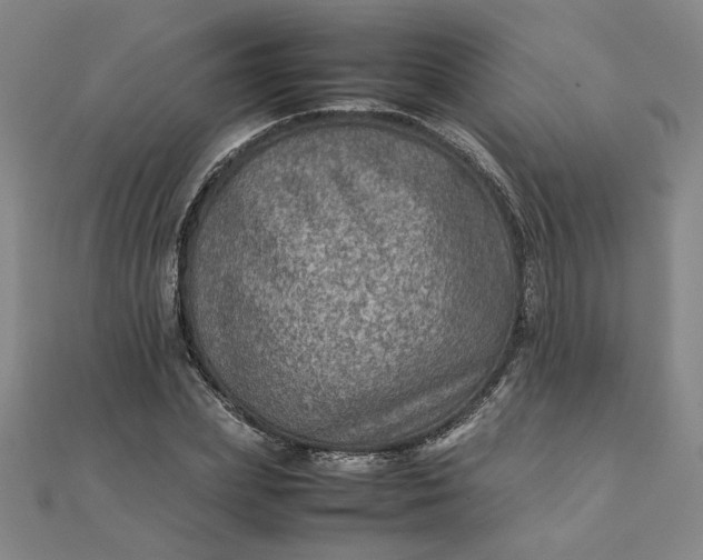 X0000111900831200908101138