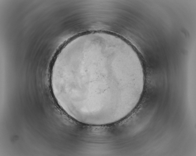 X0000111900832200908101138