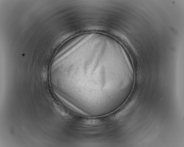 X0000111900833200908101138