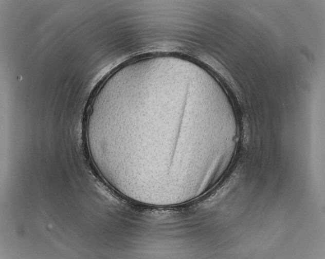 X0000111900834200908101138