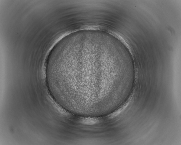 X0000111900835200908101138