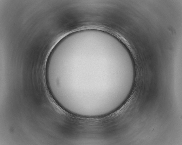 X0000111900836200908101138