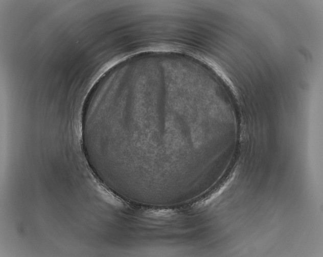 X0000111900837200908101138