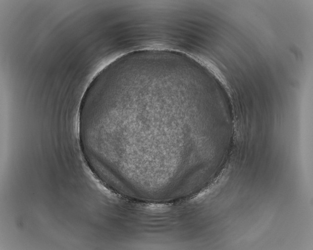 X0000111900839200908101138