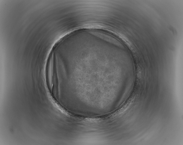 X0000111900840200908101138