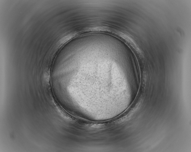 X0000111900841200908101138