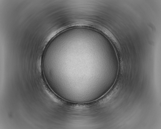 X0000111900842200908101138