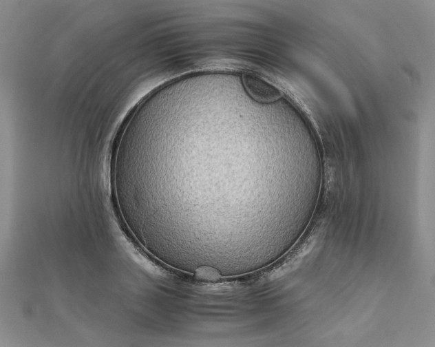 X0000111900843200908101138