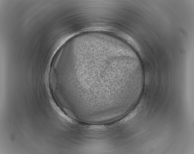 X0000111900844200908101138