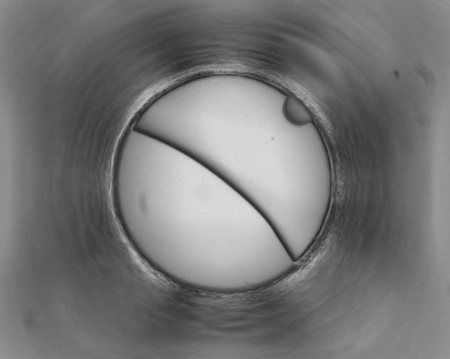 X0000111900845200908101138