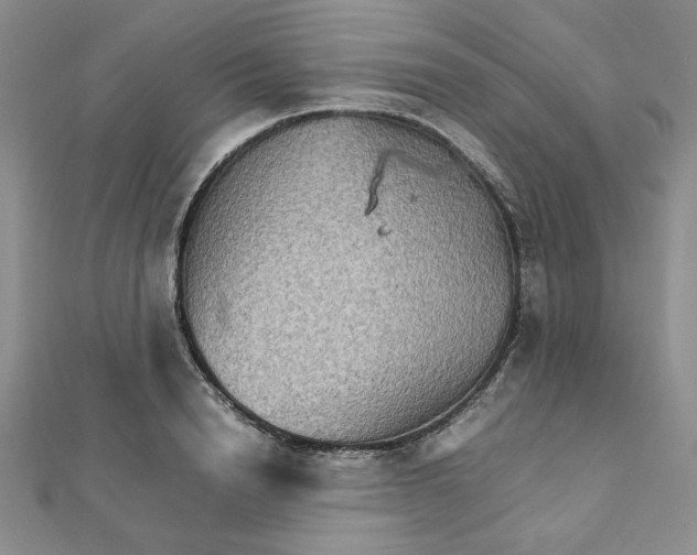 X0000111900846200908101138