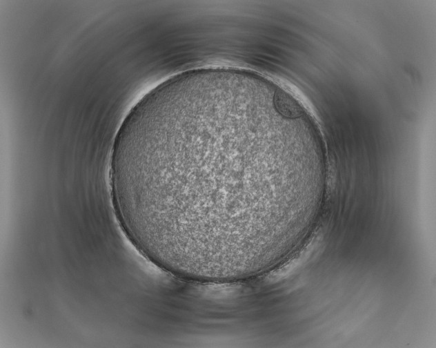 X0000111900847200908101138