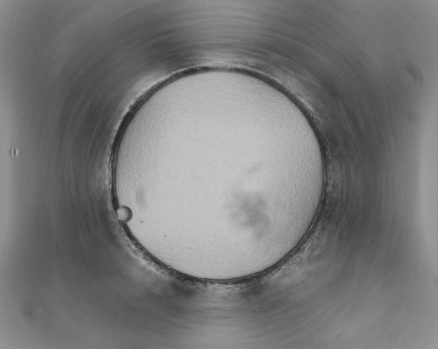 X0000111900848200908101139