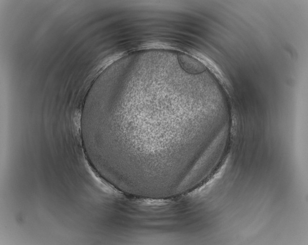 X0000111900849200908101139