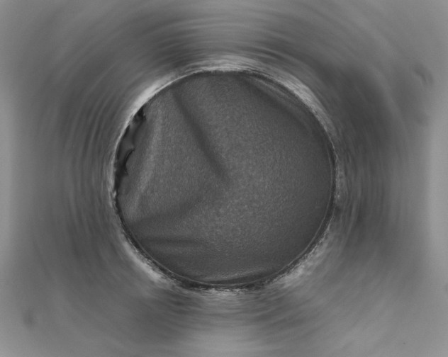 X0000111900850200908101139