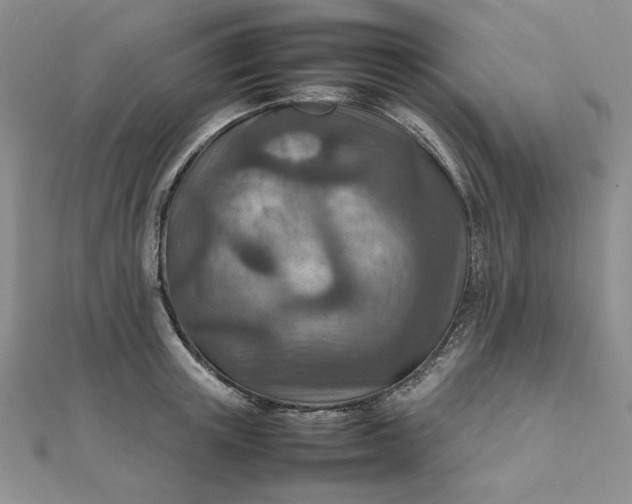 X0000111900851200908101139