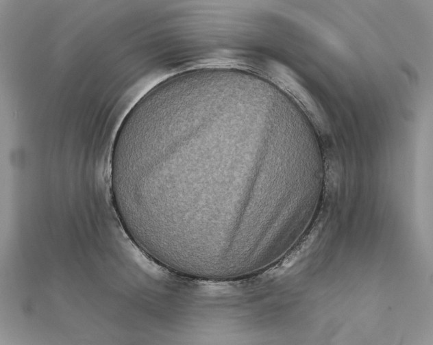 X0000111900852200908101139