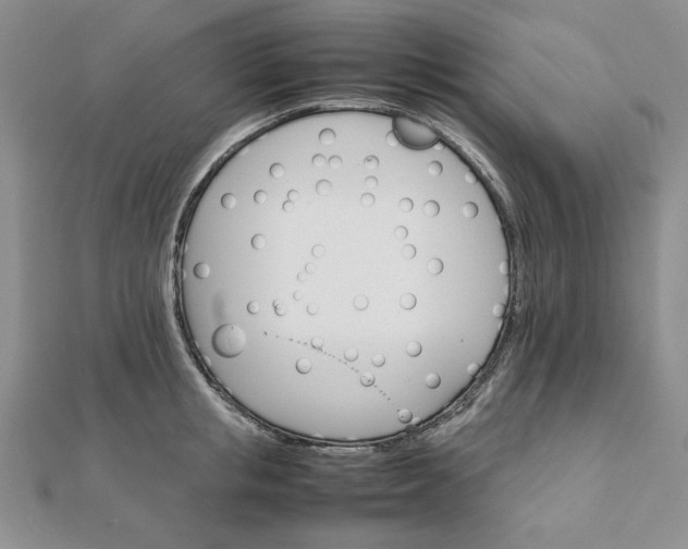 X0000111900853200908101139