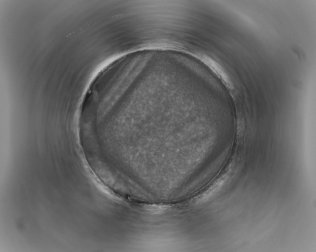 X0000111900854200908101139