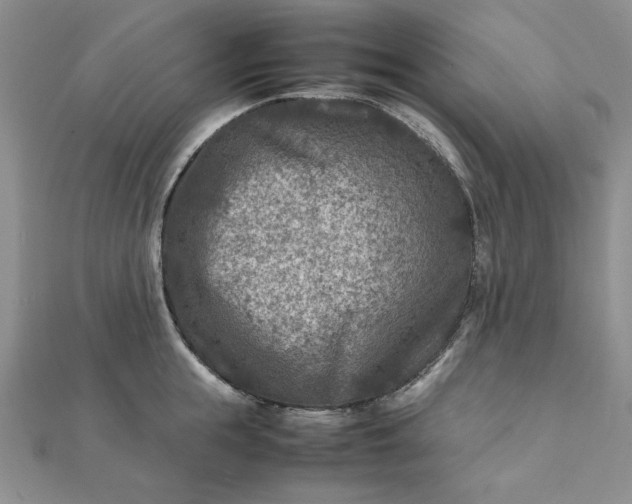 X0000111900855200908101139