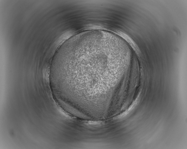 X0000111900857200908101139