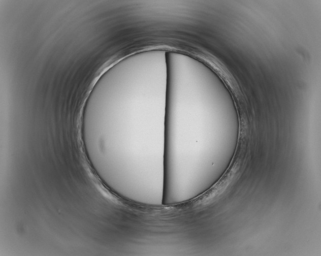 X0000111900858200908101139