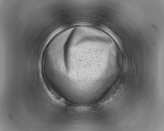 X0000111900861200908101139