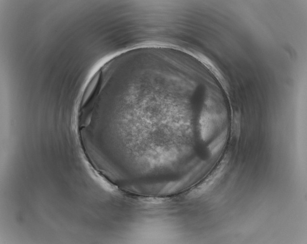 X0000111900862200908101139