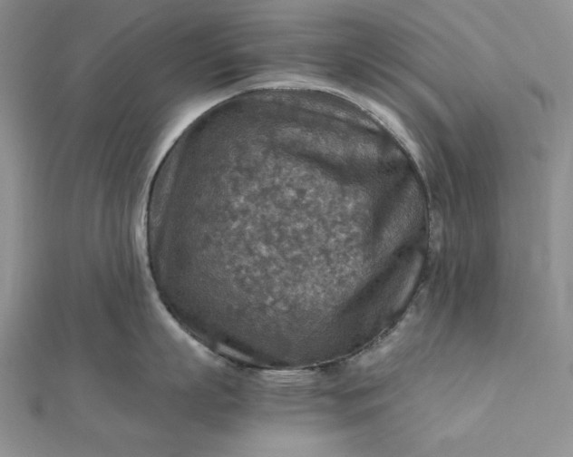 X0000111900863200908101139