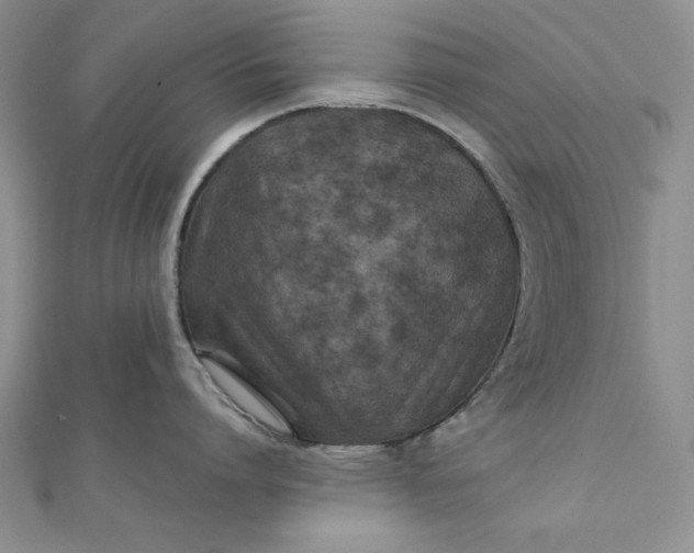 X0000111900864200908101139