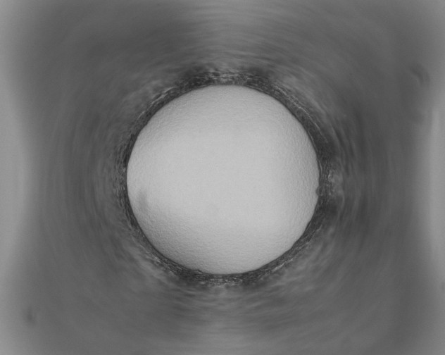 X0000111900865200908101138