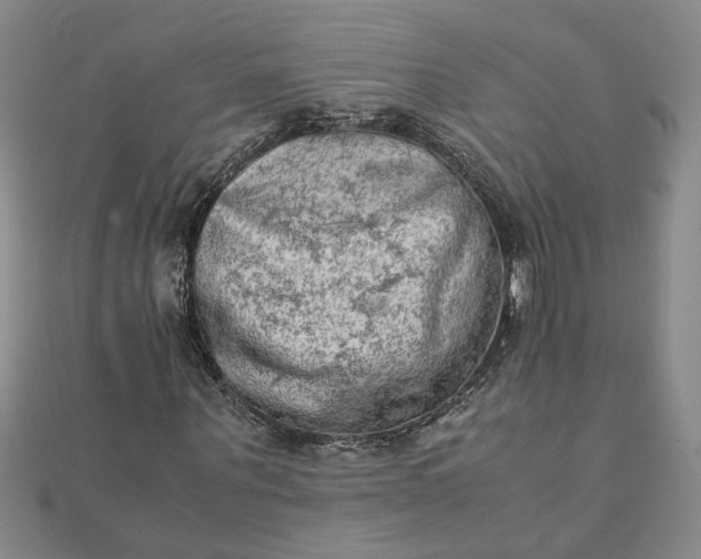 X0000111900867200908101138