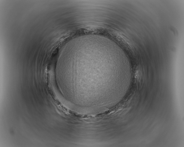 X0000111900868200908101138