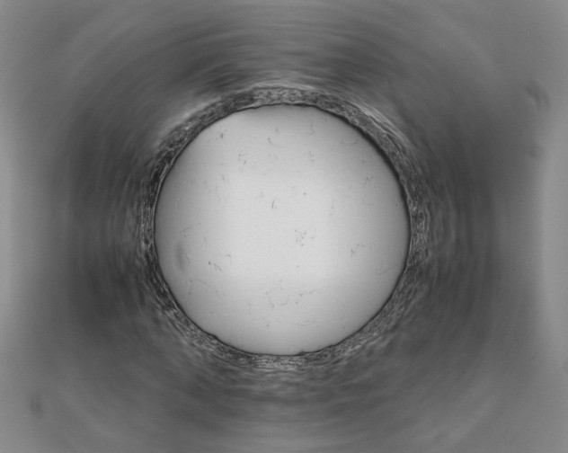 X0000111900870200908101138